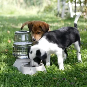 Abreuvoir Nuvola 3.8 litres